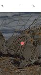 Mobile Screenshot of crancreekgamebirds.com